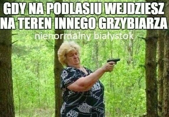 Najzabawniejsze Memy O Grzybiarzach Dowiedz Si Dlaczego S Tak