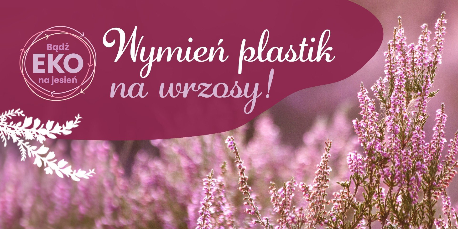 Rozdajemy Ro Liny Za Plastik Ju Wkr Tce Wielka Eko Akcja W Galerii