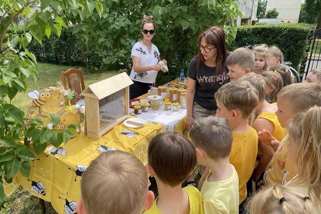 Zobaczcie jak w Przedszkolu Muzyczna Kraina w Inowrocławiu obchodzono Światowy Dzień Pszczół 2024