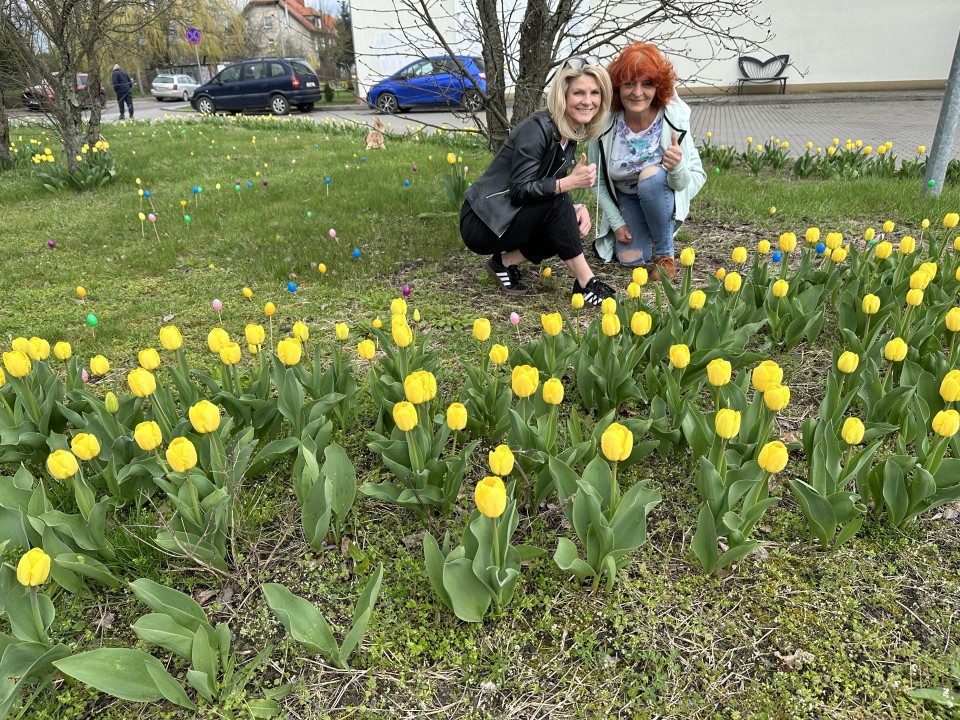 Skwer tulipanowy w Mokrem pod Grudziądzem. Na zdjęciu: od...