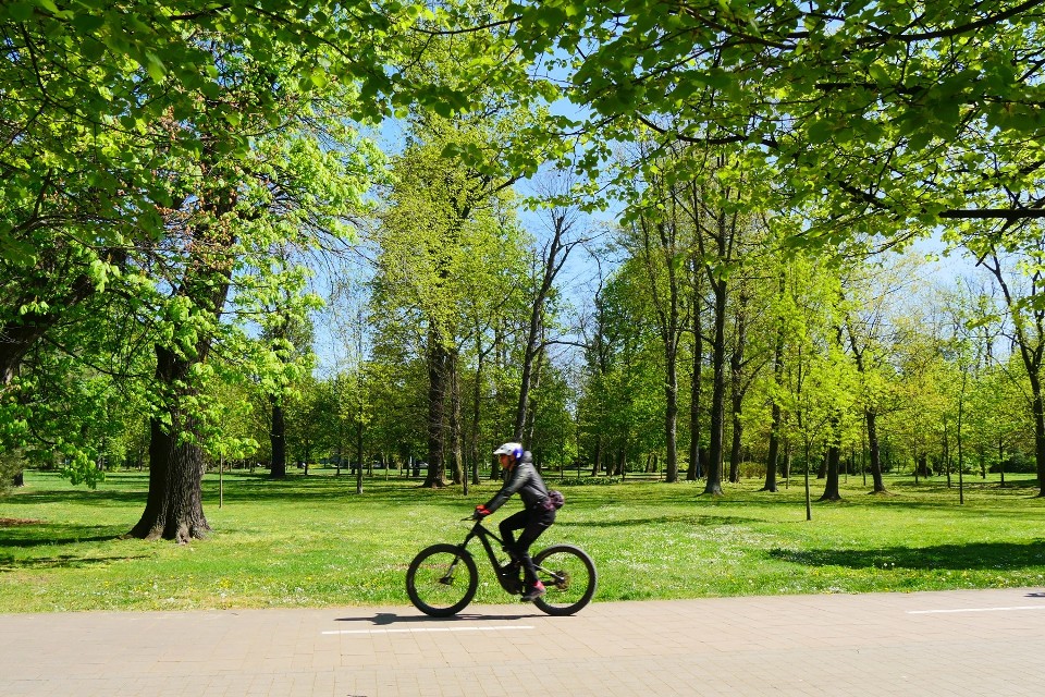 Zachwycający kwiecień w Parku Miejskim w Legnicy