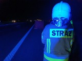 Śmiertelny wypadek na S5 w Wielkopolsce. Nie żyje potrącony kierowca