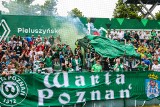 Warta Poznań prawdopodobnie wróci do "Ogródka". Miasta nie stać na zasponsorowanie klubowi "stadionu Lecha"