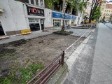 Betonoza w centrum Poznania. Wycięli krzewy i trawnik zmienili w parking. Miasto: nie wydaliśmy na to zgody. Zapowiada przywrócenie zieleni