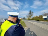 Policjanci zatrzymali dwóch kierowców - z powiatów świeckiego i toruńskiego