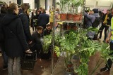 W Łodzi w EC1 rozpoczął się Festiwal roślin. Jakie są ceny roślin sprzedawanych na festiwalu? Co można kupić? ZDJĘCIA 