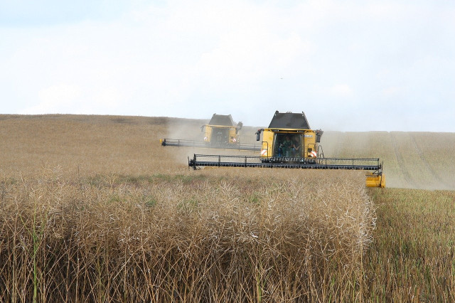 Państwa wchodzące w skład Mercosur są dużymi producentami żywności.