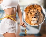 Dieta lwa – hit czy kit? Kontrowersyjny jadłospis należy do najbardziej ekstremalnych. Czy rzeczywiście spełnia obietnice?