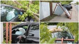 Wypadek BMW i audi na Węglowej we Włocławku. Zniszczone ogrodzenie. Zdjęcia