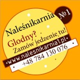 Logo firmy Naleśnikarnia nr1
