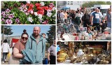Tłumy na Pchli Targu w handlową niedzielę, 28 kwietnia 2024 - kwiaty, sadzonki, ubrania, części, starocie i nie tylko. Zdjęcia, ceny