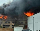 Niebezpieczny pożar w Pniewach. Zagrożony ogniem był pobliski popularny sklep