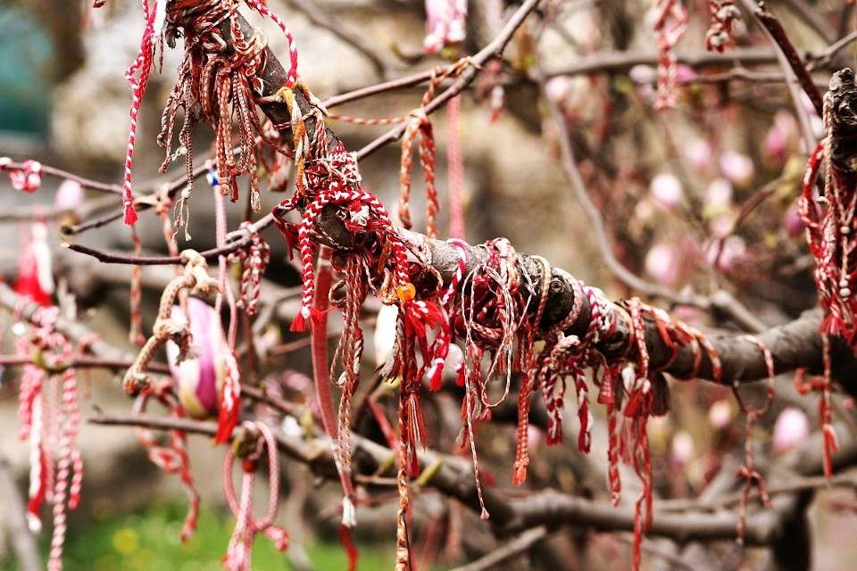Drzewa obwieszone biało-czerwonymi wiosną w Bułgarii nie są...