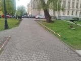 Walka z niekulturalnym i nieprzepisowym parkowaniem przy Filharmonii Pomorskiej w Bydgoszczy. Pierwsze efekty widoczne