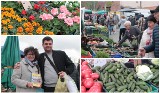 Targowisko przy ul. Kaliskiej we Włocławku - 20 kwietnia 2024. Warzywa, owoce, nowalijki, kwiaty i nie tylko. Zdjęcia, ceny