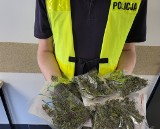 W mieszkaniu 52-latka z Włocławka policjanci znaleźli narkotyki 