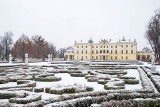 Pierwszy śnieg w Białymstoku. Miasto pod białą pierzyną