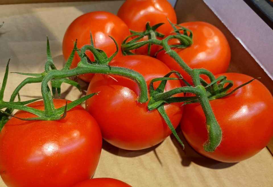Kilogram pomidorów na inowrocławskim targowisku kosztuje...