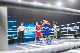 mma pl