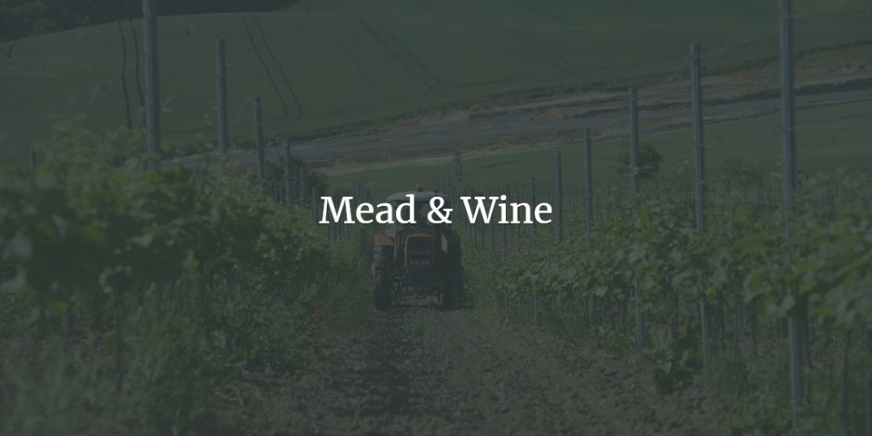 Mead & Wine (Złotów): Winnica o powierzchni 0,5 hektara...
