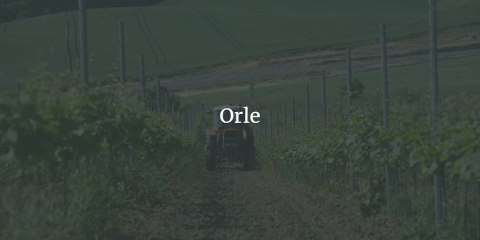 Orle (Orle Wielkie): Winnica została założona w 2016 r. Na...