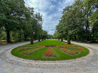 Nowe nasadzenia w Parku Planty