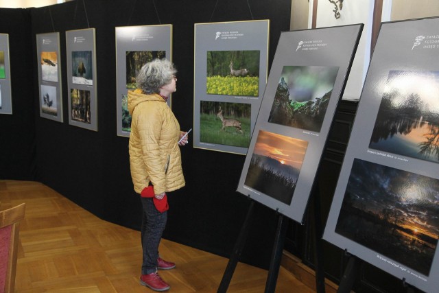 W muzeum, w Chełmnie czynna jest wystawa fotografii przyrodniczej "Historia światłem malowana"