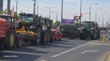 Trwa kolejny protest rolników w Poznaniu. Sprawdź, na których ulicach występują utrudnienia w ruchu [RELACJA]
