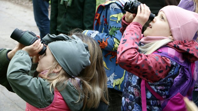 CEE zorganizowało spacer ornitologiczny malowniczymi zakątkami przyrody brzegiem Wisły w okolicy Rządza.