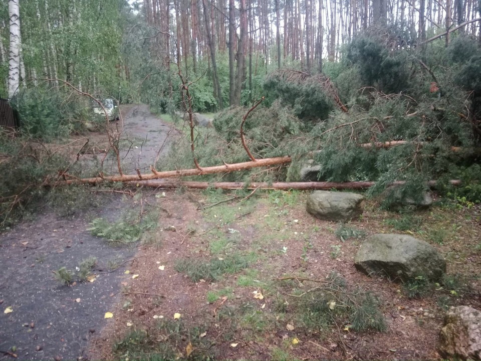 Nawałnica nie oszczędziła gminy Kleczew. Zerwany dach i powalone drzewa