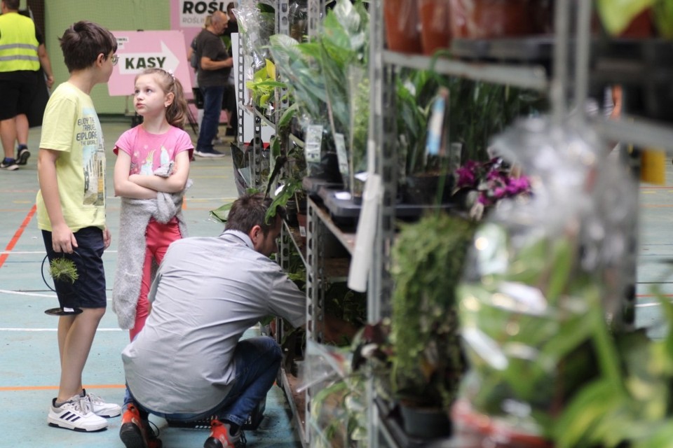 Festiwal Roślin ponownie zawitał do Konina. W Zielonej Hali znajdziecie setki gatunków roślin doniczkowych