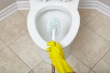Jak usunąć kamień z toalety? Te domowe środki naprawdę działają! Zobacz, jak ich użyć. Przetestuj te sposoby już dziś