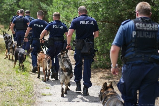 Policyjne szkolenie na lotnisku w Pile. Swoje umiejętności podnosili przewodnicy i ich psy
