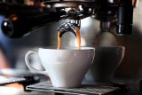 Naukowcy z Poznania zbierają fusy z kawy. W jakim celu?