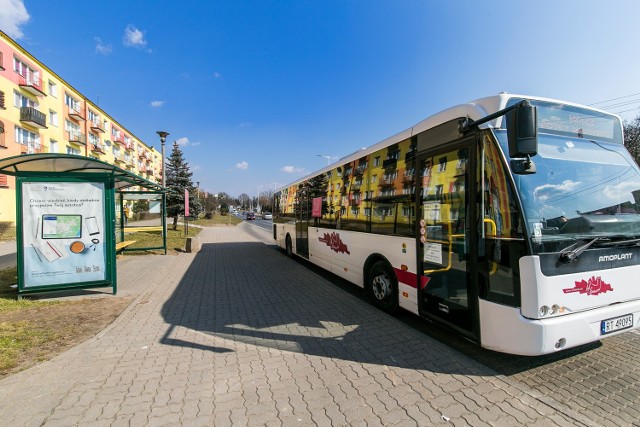 Od 1 lipca do 30 września 2024 w Świeciu będą dodatkowe kursy autobusów na zamek i do ośrodka w Decznie