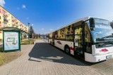 Nowe połączenia autobusowe w Świeciu na zamek i do ośrodka w Decznie - trasy, godziny odjazdów