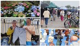 Deszczowa niedziela na Pchlim Targu - 16 czerwca 2024 roku - starocie, kwiaty, ubrania, narzędzia. Zdjęcia, ceny, wideo
