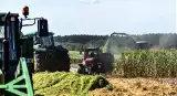 Co czwarty młody rolnik w Unii jest z Polski. Dostaną wsparcie