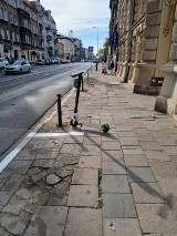 Mieszkańcy chcą remontu ulicy Dąbrowskiego w Poznaniu. Ale nie kosztem miejsc parkingowych!