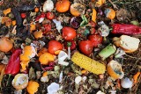 „Globalna tragedia”. Miliardy ton żywności trafiają na śmietnik