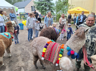 Razem mimo trudności. Wyjątkowy piknik rodzin Domowego Hospicjum dla Dzieci