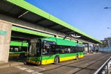 Wielkopolska firma podbija Włochy! Ponad 350 autobusów Solarisa wyjedzie na ulice Rzymu
