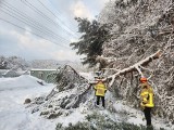 Rekordowe opady śniegu. Nie żyją co najmniej trzy osoby