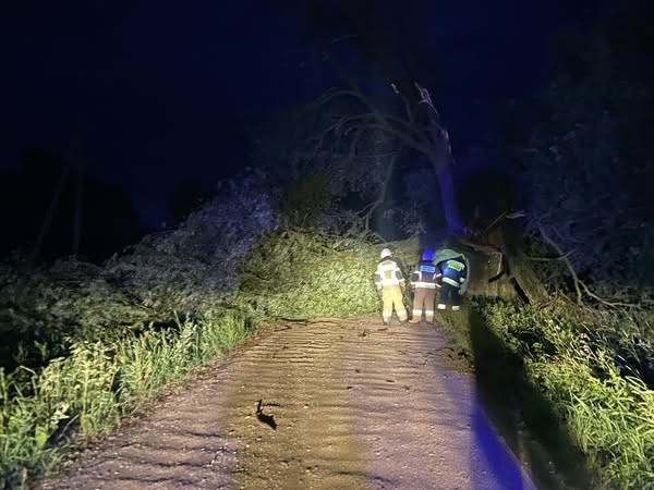 We wtorek o godzinie 02:23 strażacy z OSP Knyszyn zostali zadysponowani do powalonego drzewa w miejscowości Grądy.