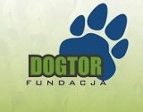 Logo firmy Fundacja DOGTOR
