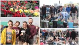 Tłumy na Pchli Targu w wietrzną niedzielę, 14 kwietnia 2024 - dużo kwiatów, sadzonek, krzewów, mebli, staroci i nie tylko. Zdjęcia, ceny