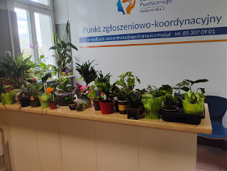 Wymiana roślin