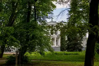 Nie będzie wycinki drzew w Parku Lubomirskich
