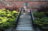 W Grudziądzu schody prowadzące spod Ratusza na Błonia Nadwiślańskie mają zostać odnowione. Zobacz zdjęcia