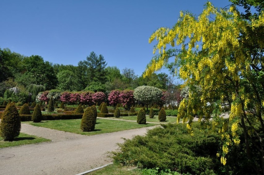 Wyjątkowe miejsce w parku arboretum w Gołuchowie. Trwa...